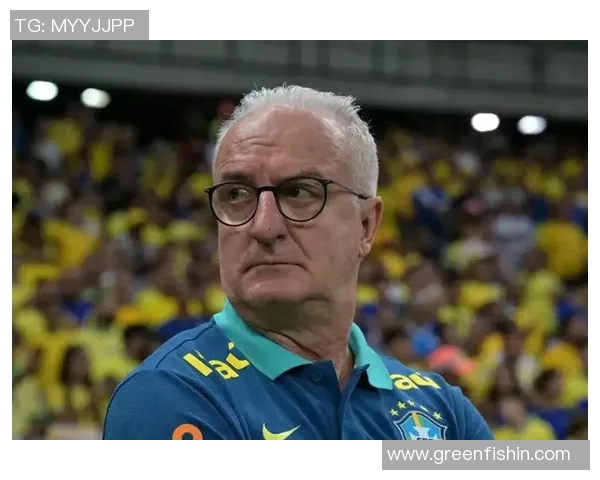 足球世界冠军的荣耀与挑战探讨各国球队的奋斗历程与未来展望